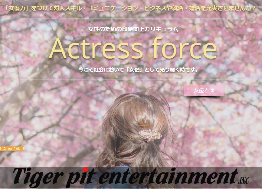 株式会社タイガーピット・エンターテインメント