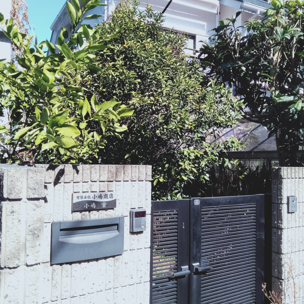 有限会社小嶋商店