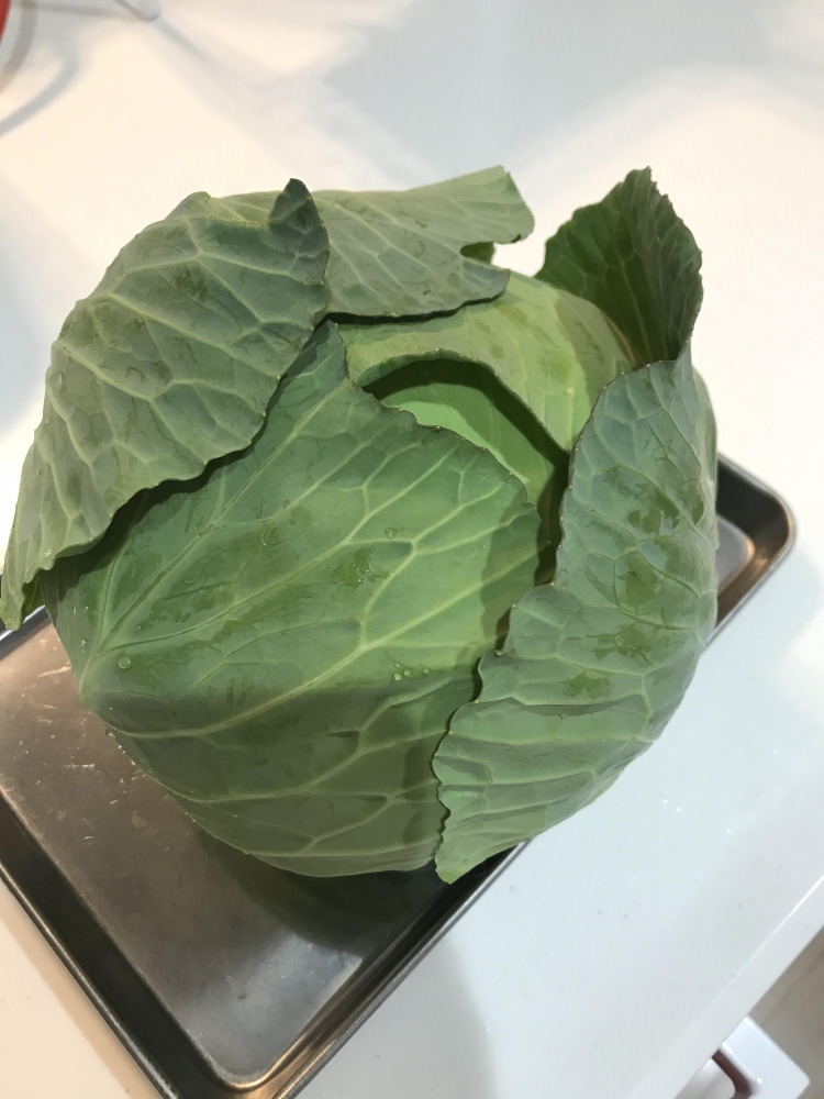 シェア畑 練馬桜台_1