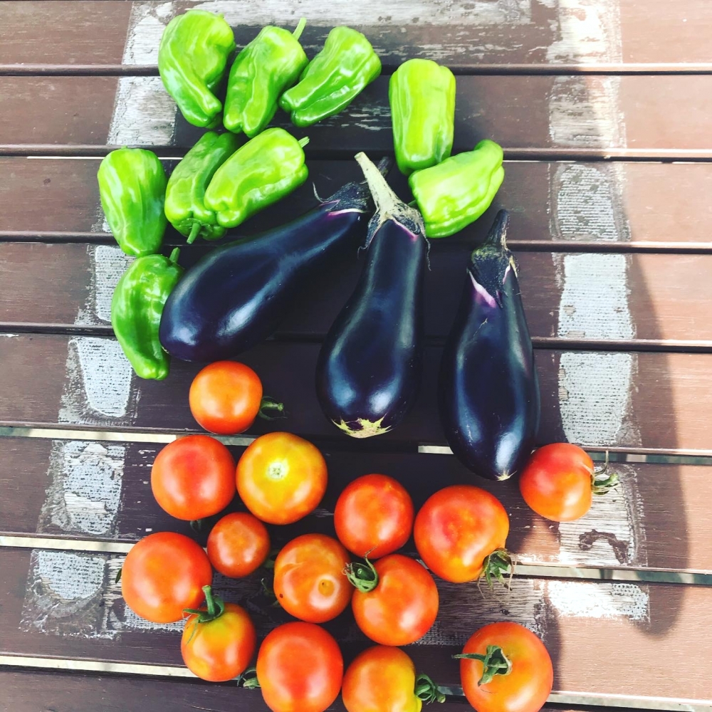 シェア畑 練馬桜台