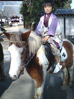 オーストリッチポニークラブ