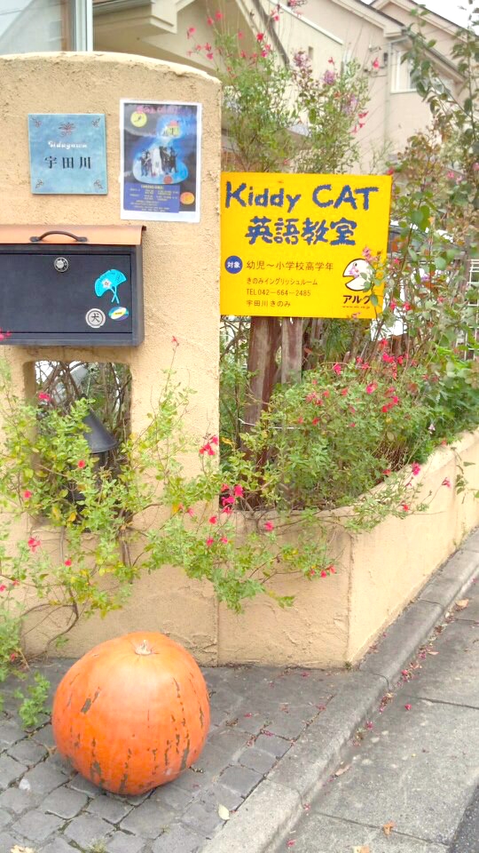 アルクKiddy CAT英語教室きのみイングリッシュルーム