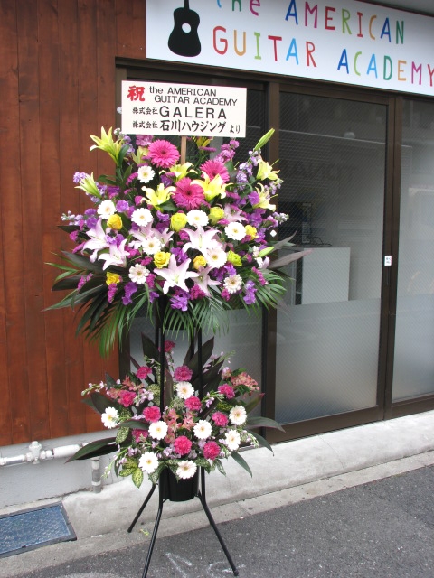 the AMERICAN GUITAR ACADEMY