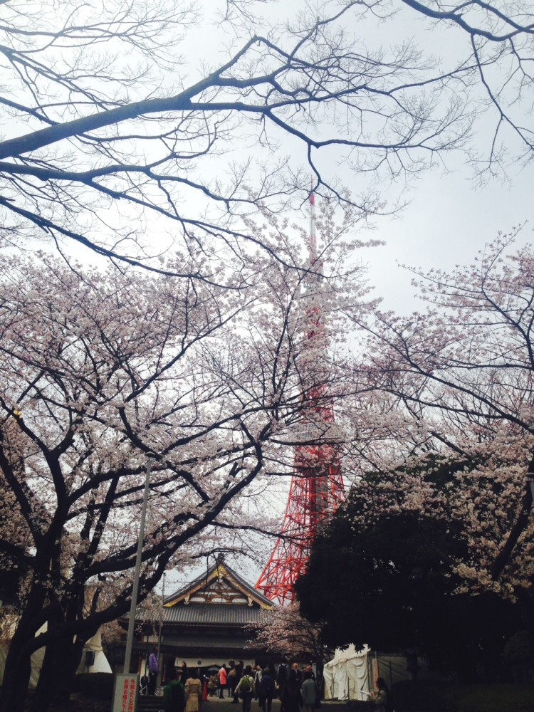 桜書美院_16