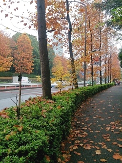 話し方/you表現studio