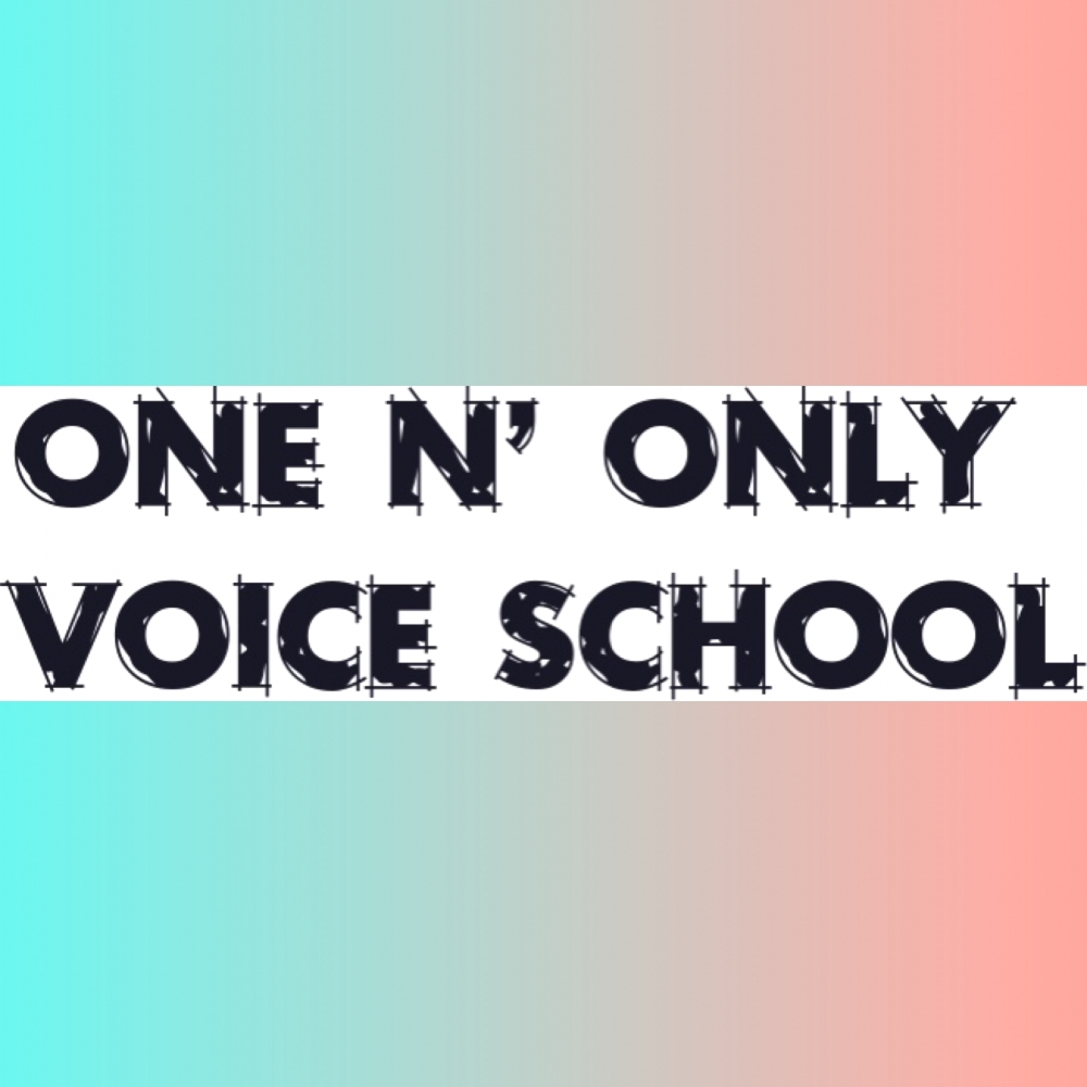 ONE N' ONLY VOICE SCHOOL_4