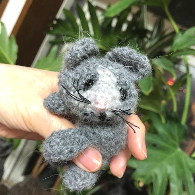 多田洋子青山ニットスタジオ