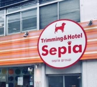 セピア動物専門学院