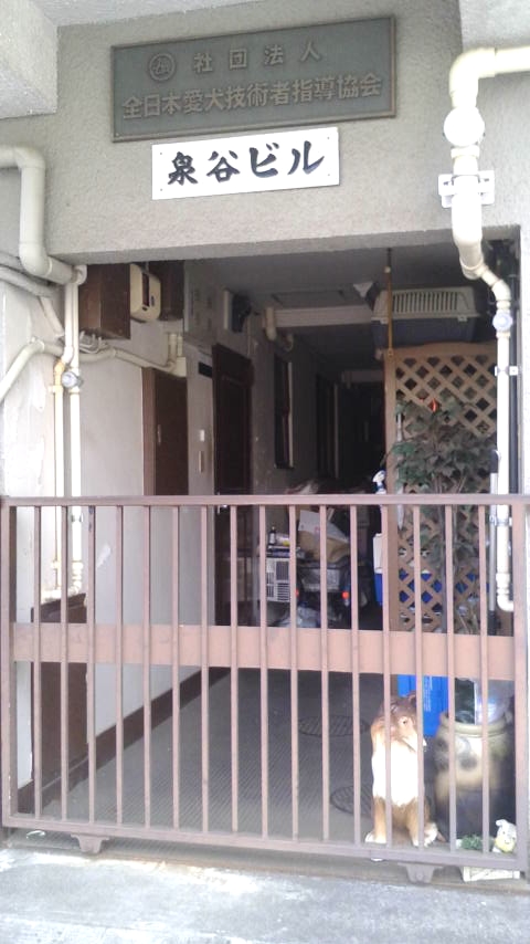 東京愛犬総合技芸学園_1