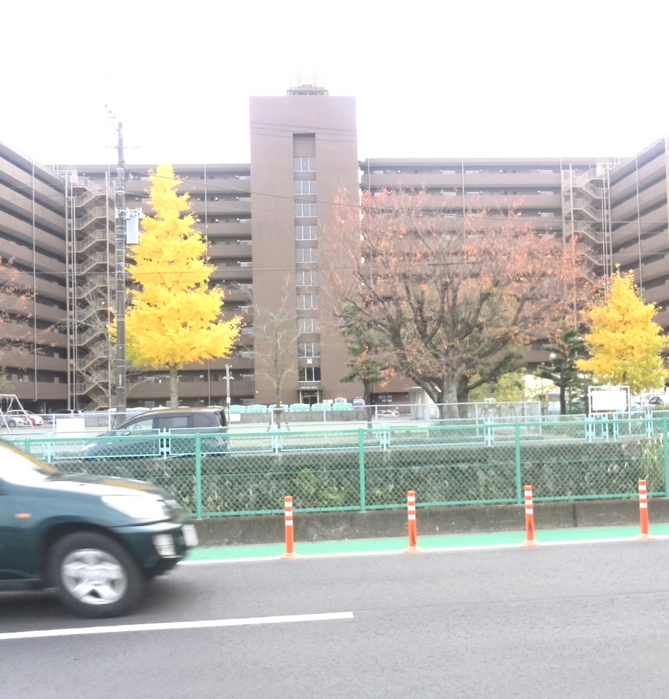 ＥＣＣジュニア芦子教室_11