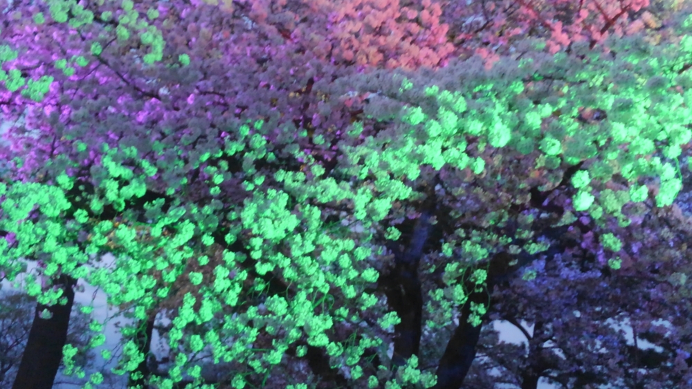 ＥＣＣジュニア芦子教室_3