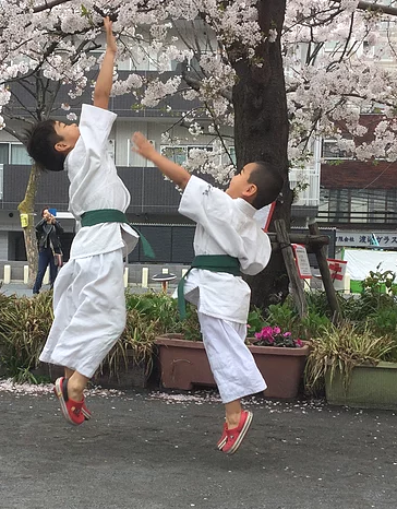 姿勢教育の孝心会