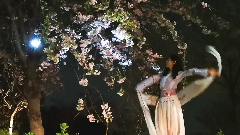 ako 音楽教室（二胡・ピアノ）_1