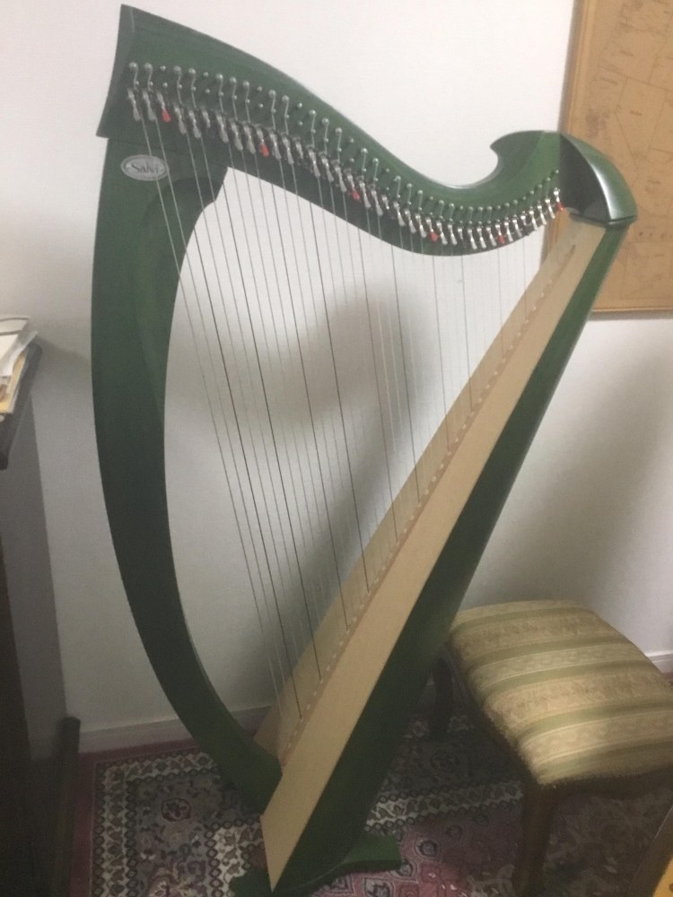 ハープサロン　レーヴ_4