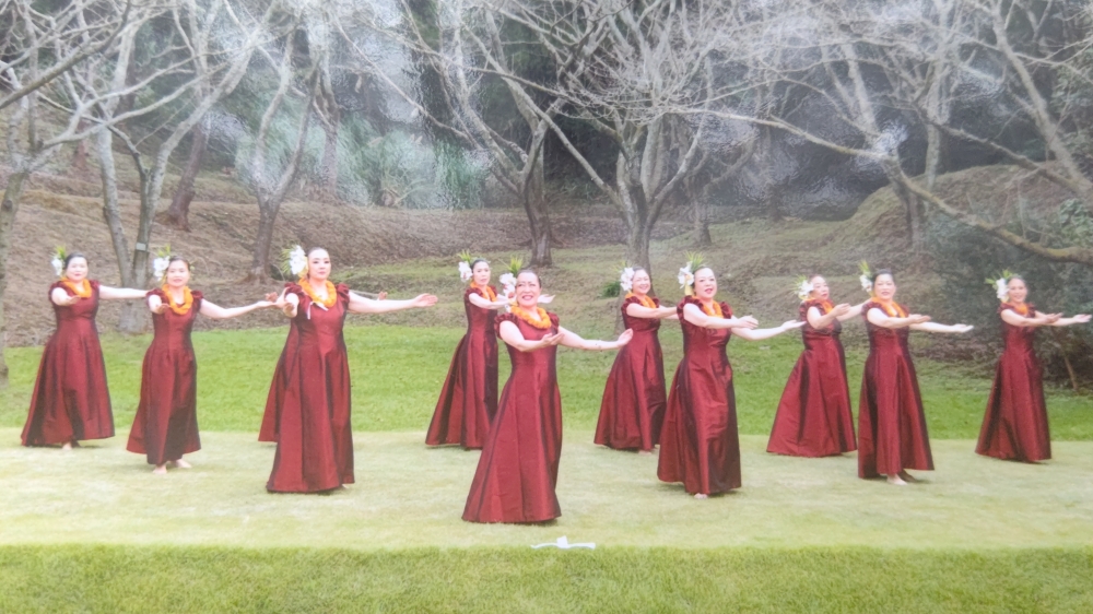 Hula Halau Plumeria ﾌﾗﾊｰﾗｳﾌﾟﾙﾒﾘｱ