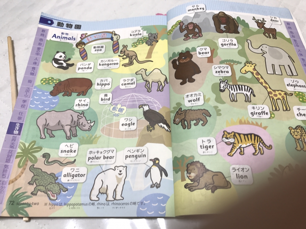 kids英語教室  さち_2