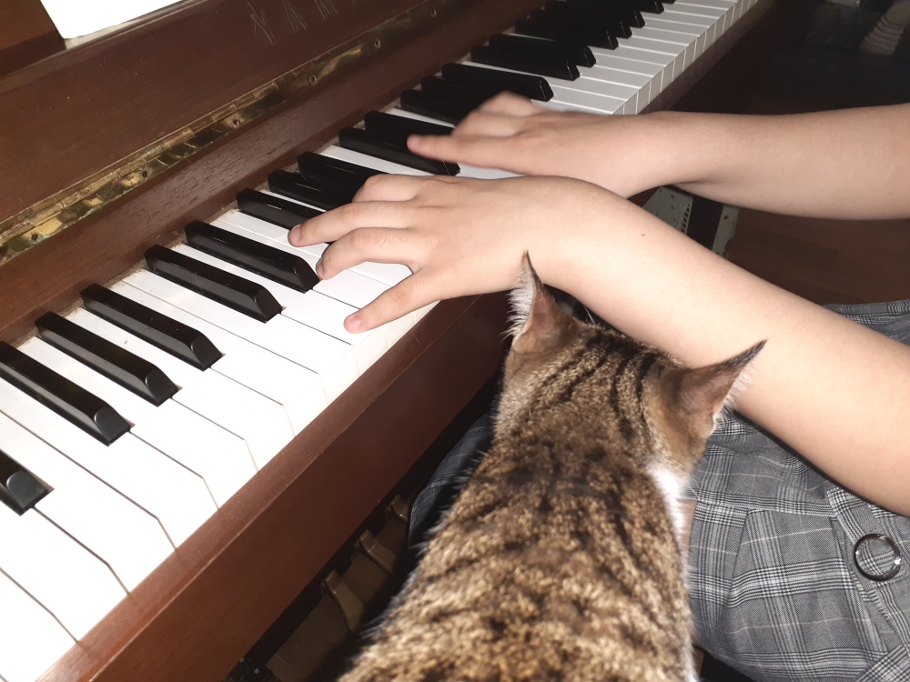 コモド音楽教室