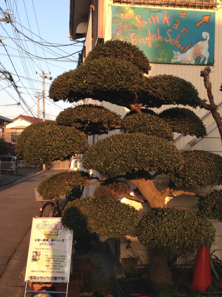 Rinkan English School_24