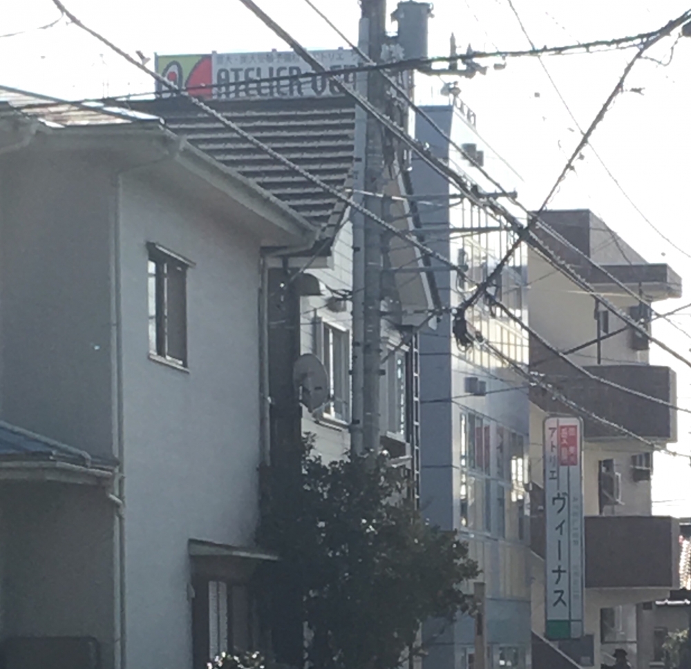 アトリエヴィーナス