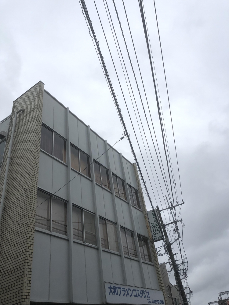 山口のりこフラメンコ舞踊団