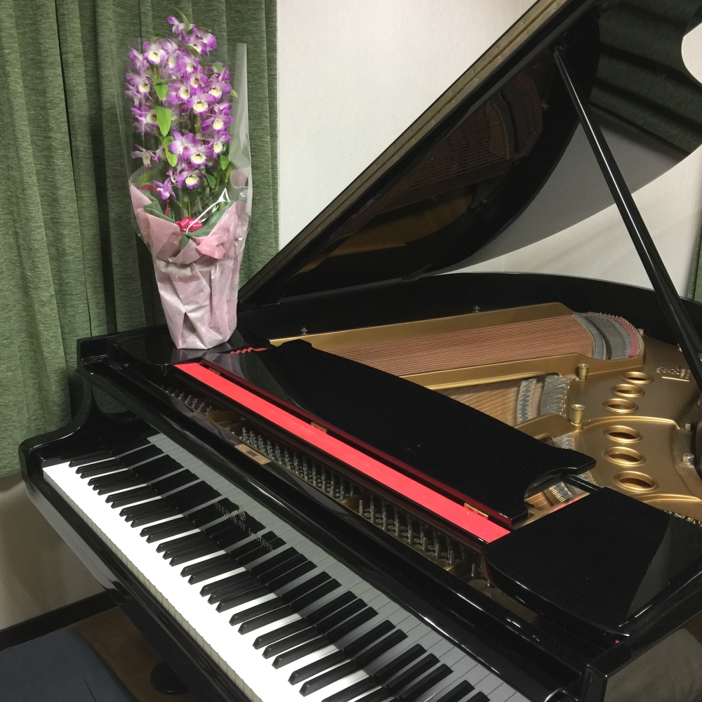 ピアノソルフェージュ教室