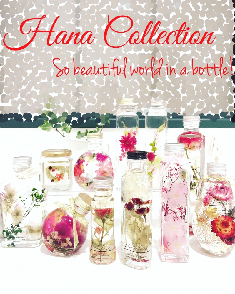 Hana Collection_1