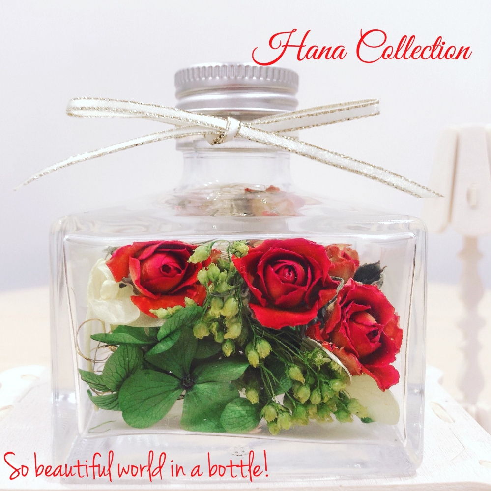 Hana Collection_4