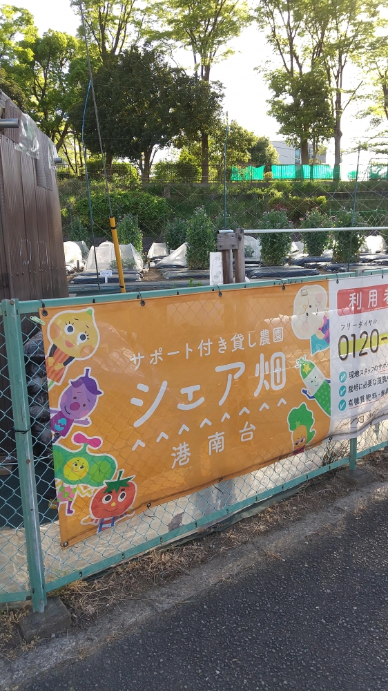 シェア畑 港南台_1