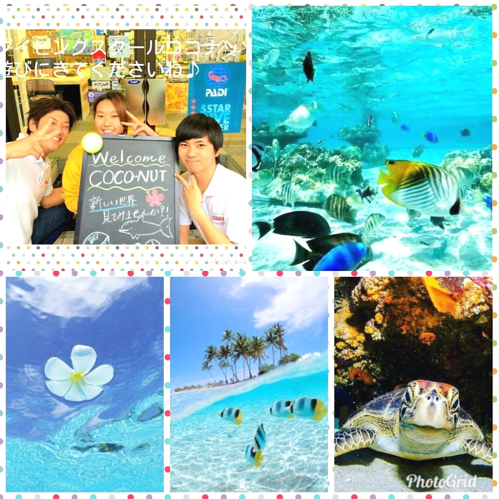 ダイビングスクール　ココナッツ横浜店_4