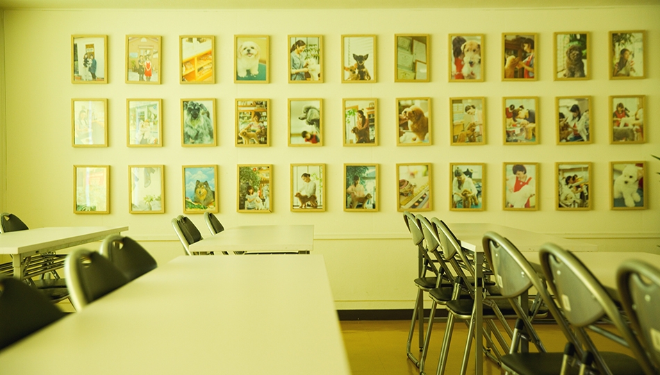 青山ケンネルスクール横浜校_4