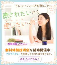 アロマスクール湘南国際アカデミー新横浜校_3