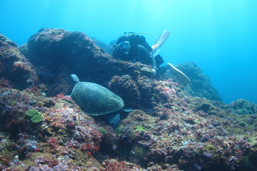 Diving Shop SEVEN7_182