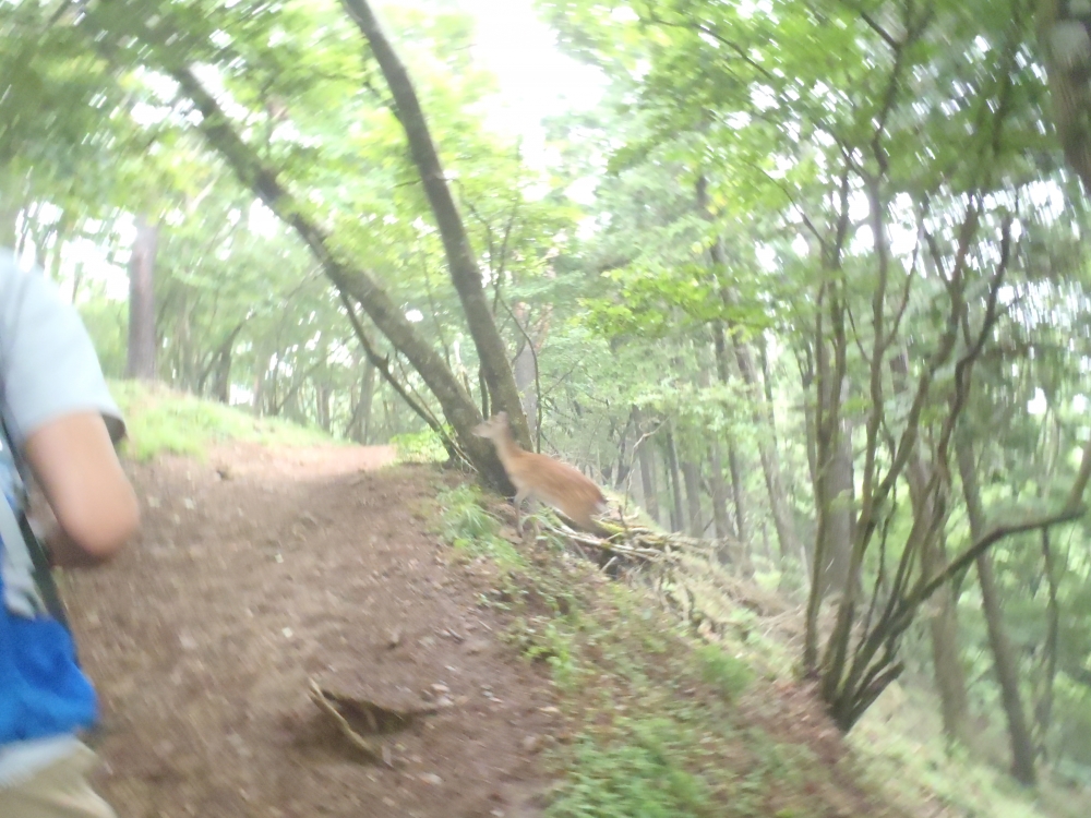 Diving Shop SEVEN7_180