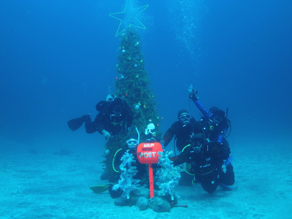 Diving Shop SEVEN7_174