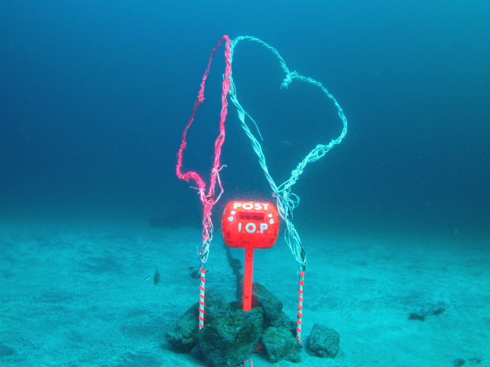 Diving Shop SEVEN7_172