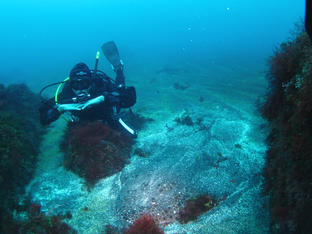 Diving Shop SEVEN7_143