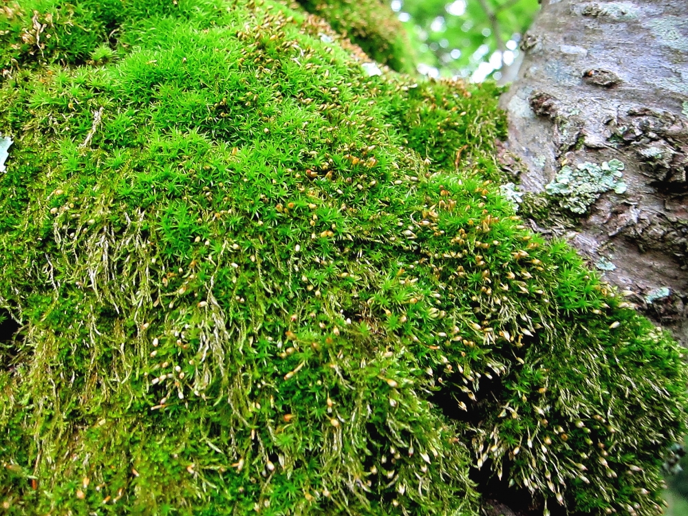 Diving Shop SEVEN7_132