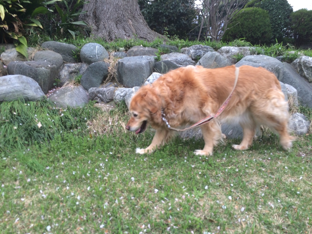 Diving Shop SEVEN7_129