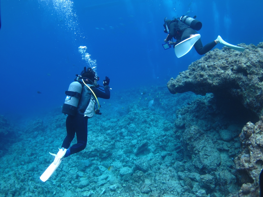 Diving Shop SEVEN7_126