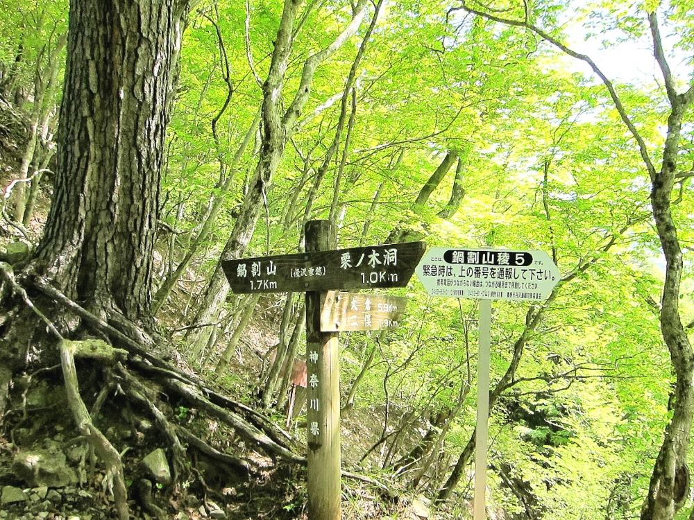 Diving Shop SEVEN7_121