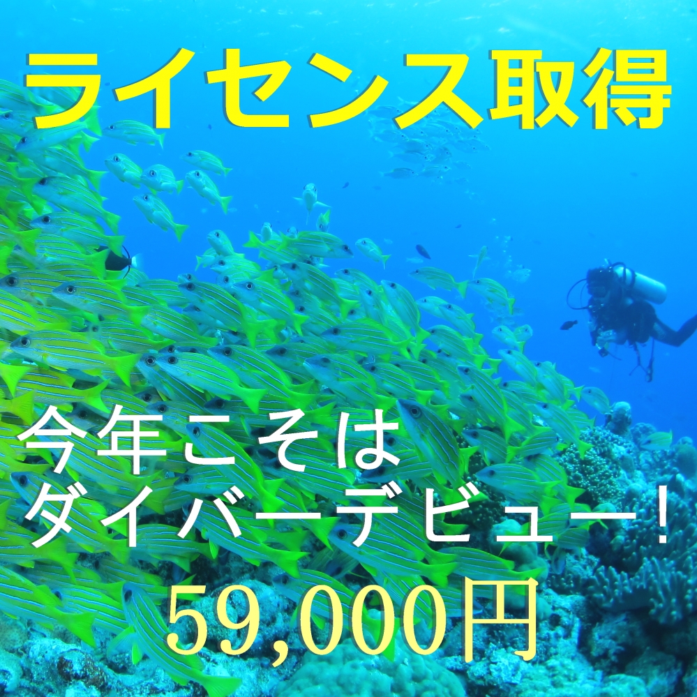 Diving Shop SEVEN7_106