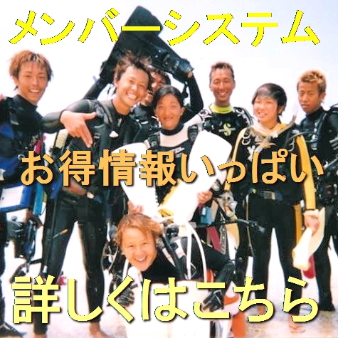 Diving Shop SEVEN7_100