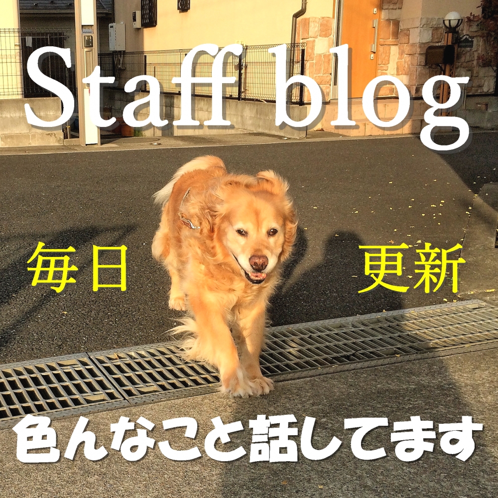 Diving Shop SEVEN7_98