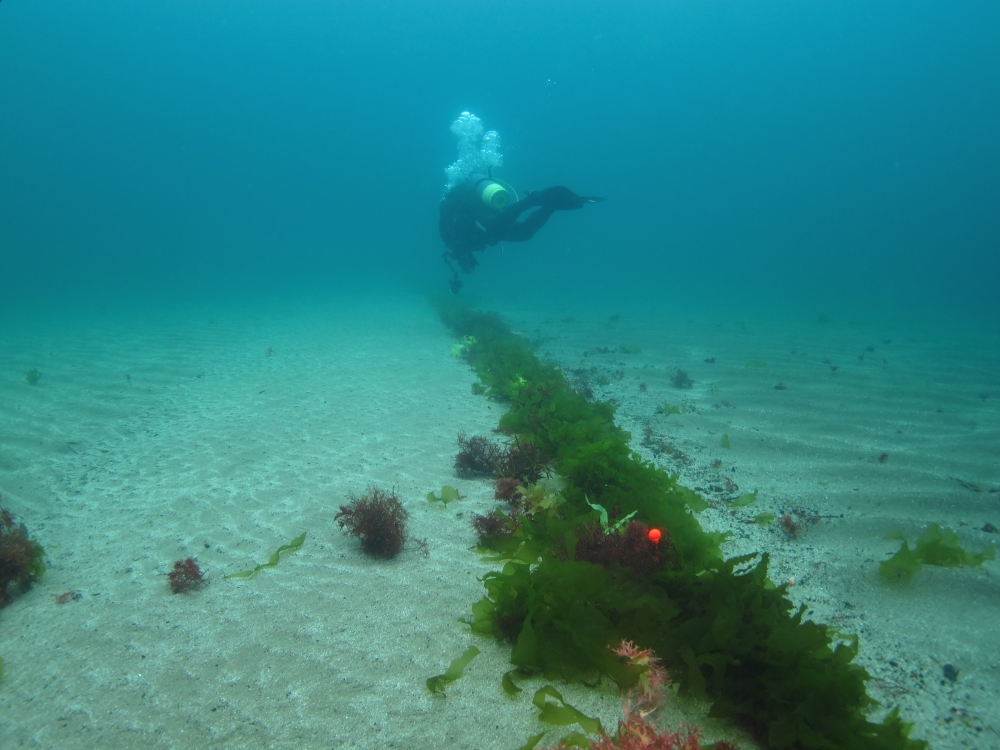 Diving Shop SEVEN7_95