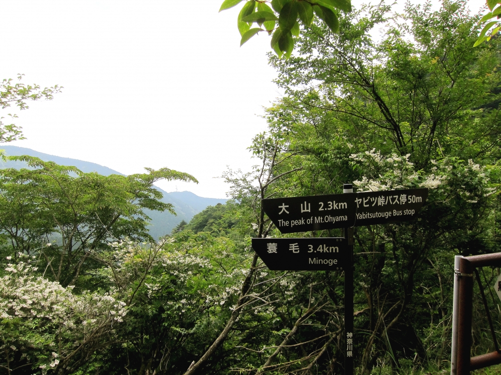 Diving Shop SEVEN7_86