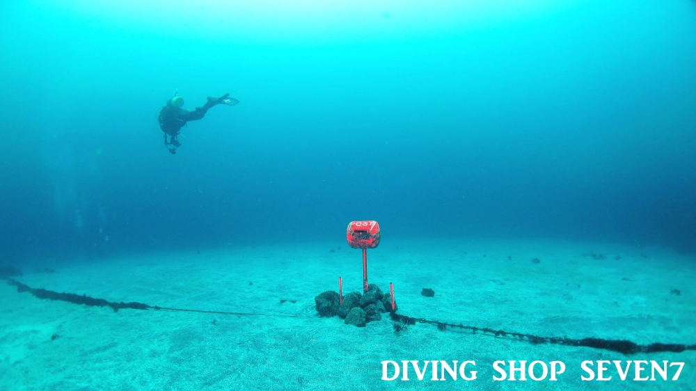 Diving Shop SEVEN7_57