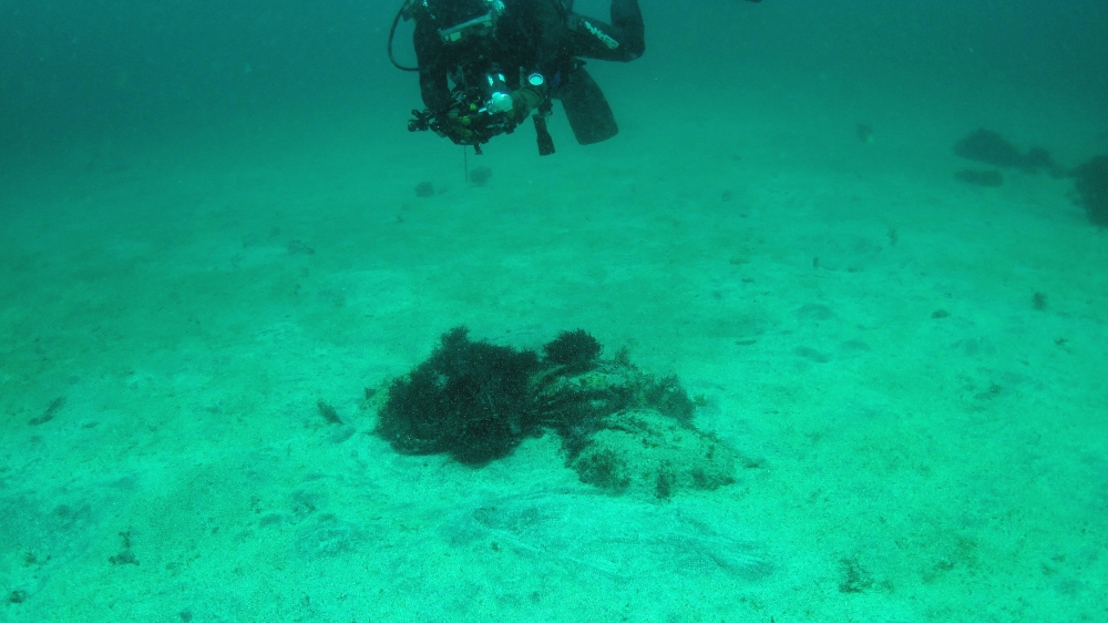 Diving Shop SEVEN7_55