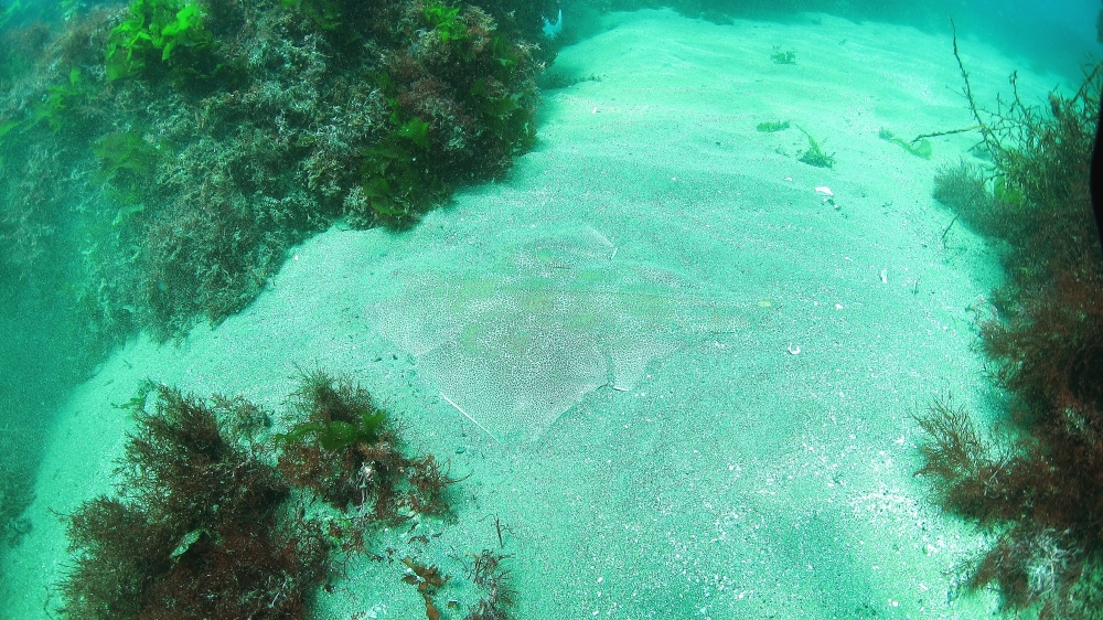 Diving Shop SEVEN7_34