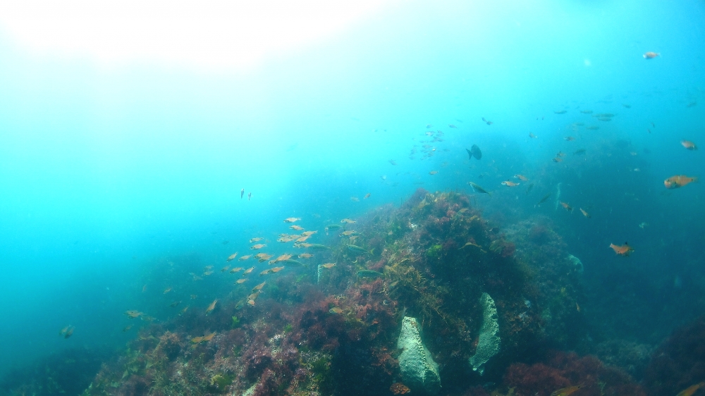 Diving Shop SEVEN7_32