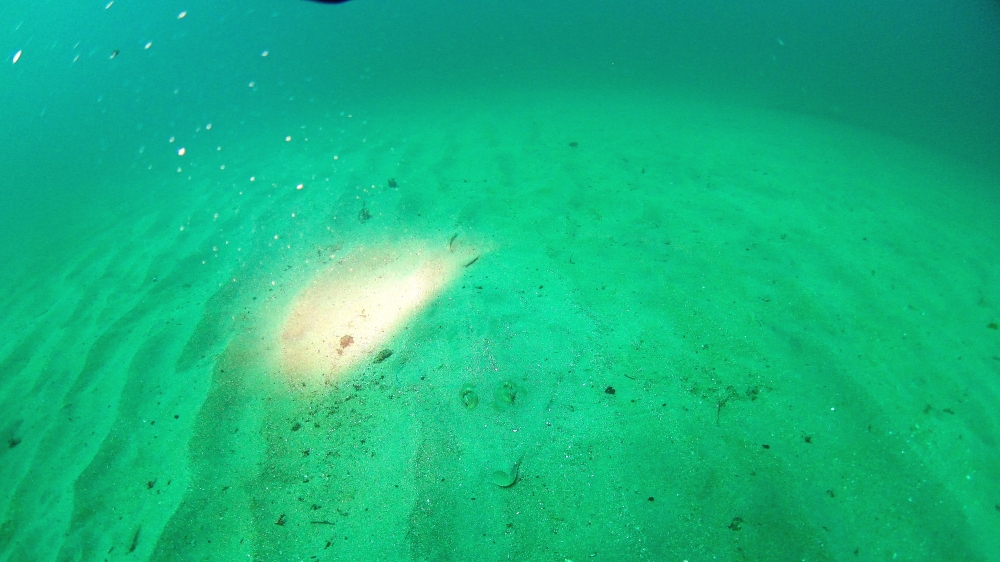 Diving Shop SEVEN7_31